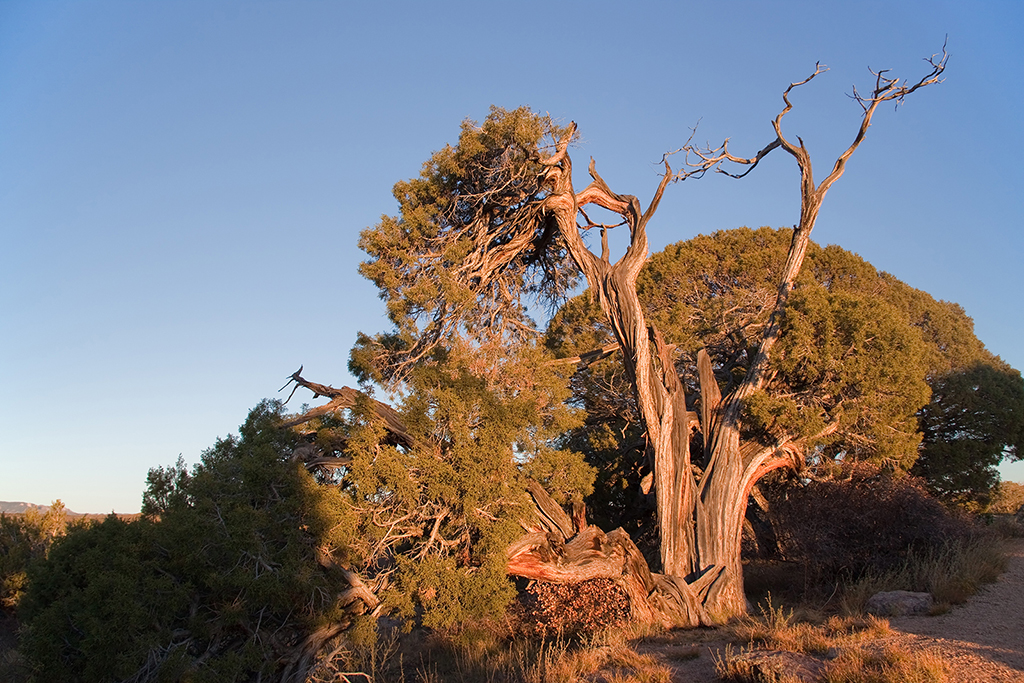 15_Black Canyon of the Gunnison South Rim_09.jpg